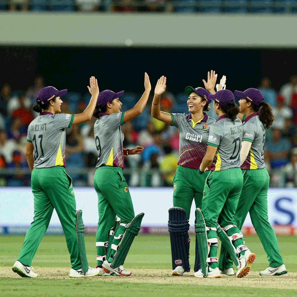 The Empty Dossier: When Cricket Analysis Returns 'Insufficient Information'