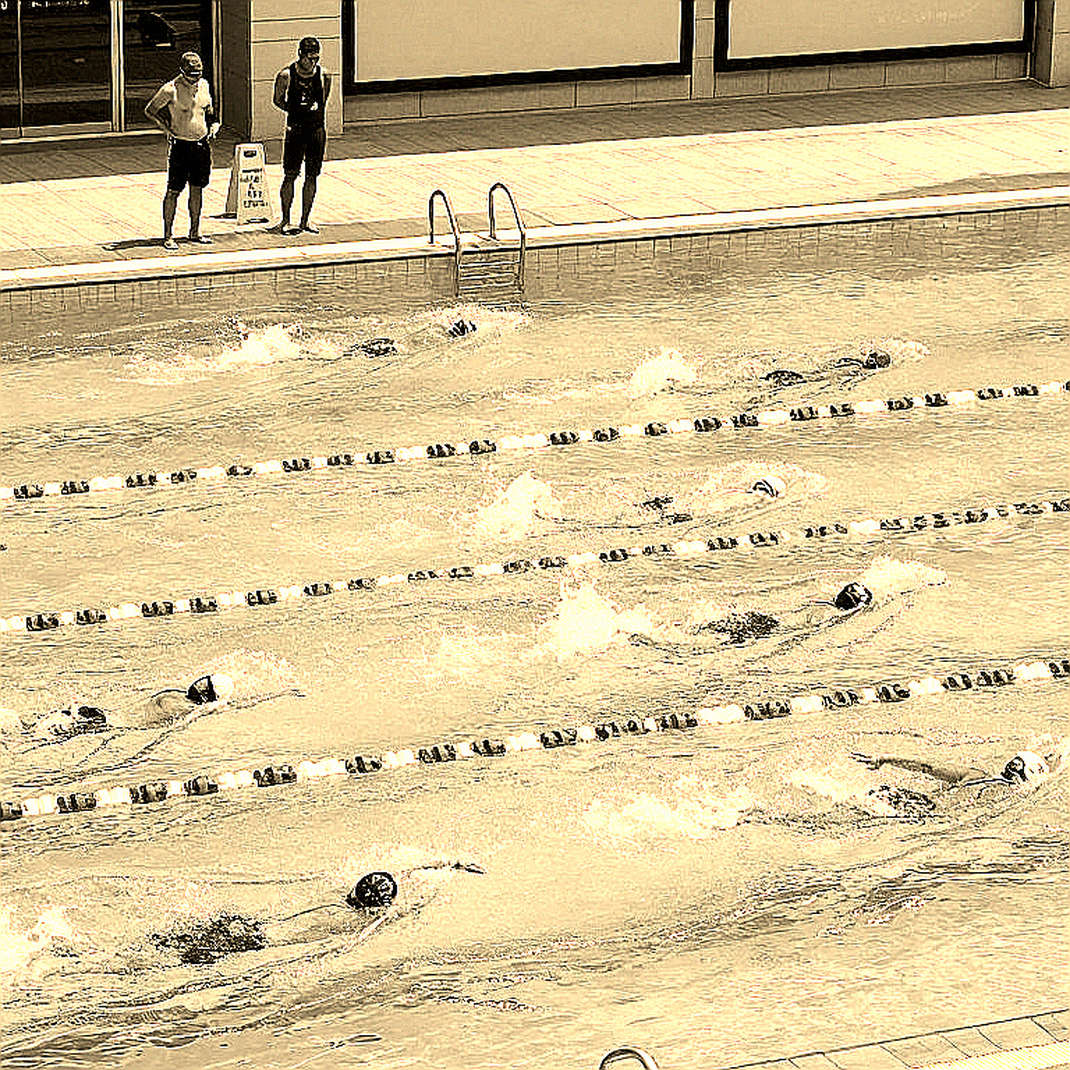 The Zero-Information-Point Report: Where Blockchain Belongs in Swimming's Data Pipeline, and Where It Doesn't The Zero-Information-Point Report: Where Blockchain Belongs in Swimming's Data Pipeline, and Where It Doesn't