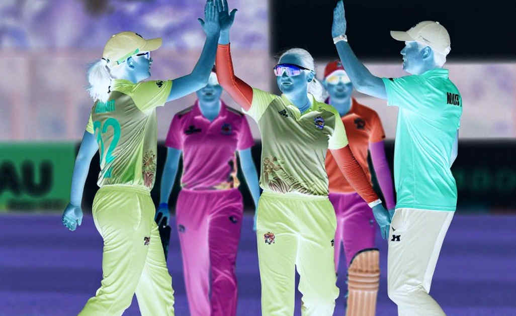 Beneath the Empty Cell: Eight Dimensions, a Null Ledger, and the Silence of Cricket Data